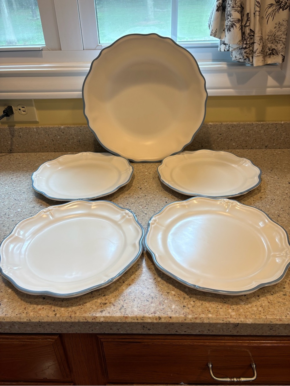 Threshold Designed With Studio McGee Set of 4 Dinner Plates & Large Serving Bowl